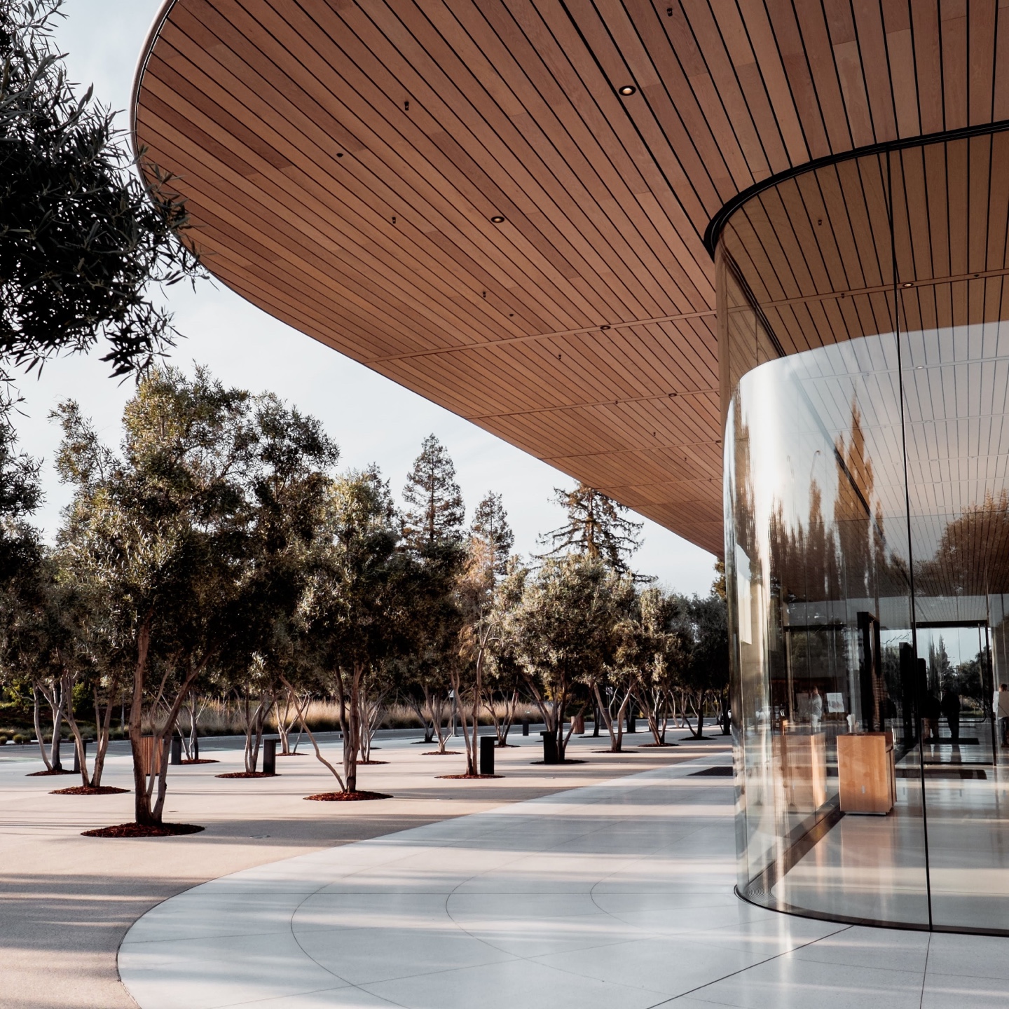 Warm modern architecture exterior with curved wood canopy